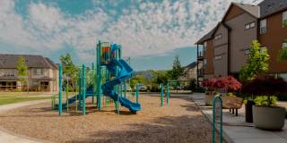 Lakemont Ridge Gallery 21