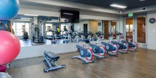 The Victor Stonebridge Gallery 9