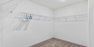 10034 Sir Atlas Court Gallery 17