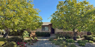 Roomy & well-kept 3 bd. home; big corner lot in a prized north Ukiah neighborhood! Gallery 1