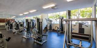 Legacy at Sans Souci Gallery 8