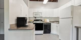Glenmont Forest Gallery 20