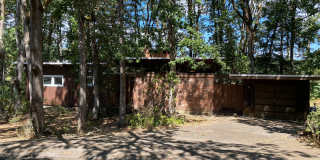ALL UTILITIES INCLUDED! ~ 3 Bedroom 1 Bath Gallery 6