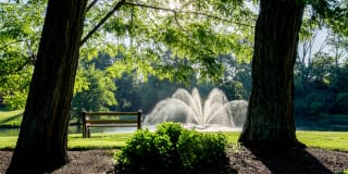 Olde Montgomery Gallery 17