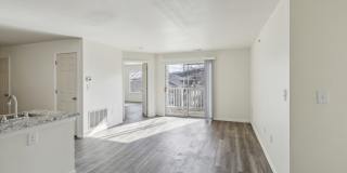 Lakewood Gallery 11