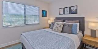 48139 Calle Seranas Gallery 15