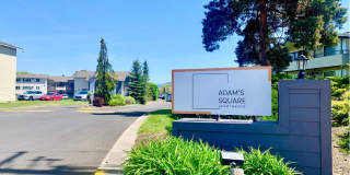 Adams Square Gallery 2