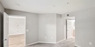 Coral Cove Gallery 33