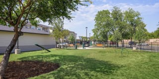 Salado at Red Berry Gallery 28