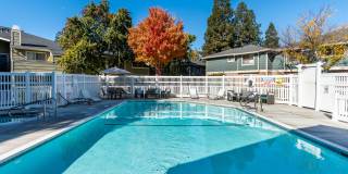 Portola Meadows Gallery 29