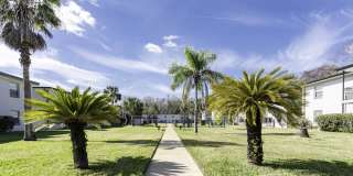Palm Cove Apartments Gallery 15