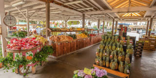 Boardwalk by Windsor Gallery 56