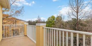 9040 WHITE SAGE LOOP Gallery 29