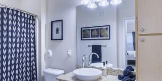 Forest Park and Tower Grove Gallery 20