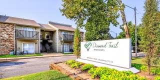 Diamond Trail Gallery 22