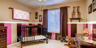 5028 Rocky Mountain Drive 5028 Rocky Mountain Drive Gallery 24
