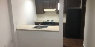 King City Gallery 13