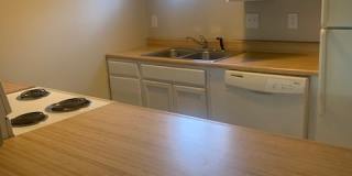 803 Applewood Lane - 1 Gallery 4