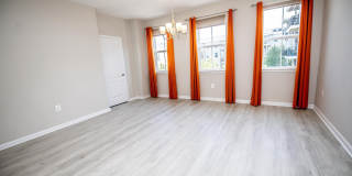 1296 FOGGY Turn Gallery 15