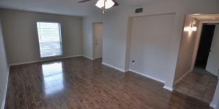 Beautiful Austin condo in amazing location! Gallery 4