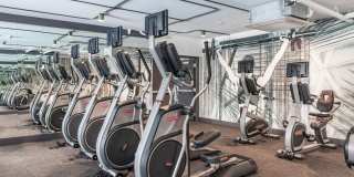 MacArthur Commons Gallery 10