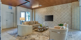 Lucent Scottsdale Gallery 30