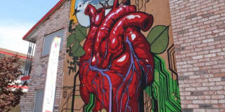 Revive Medical District Gallery 23