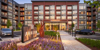 Avalon Foundry Row Gallery 38