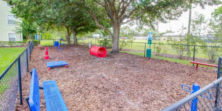 Abaco Key Gallery 19