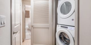 The Seaton Gallery 9