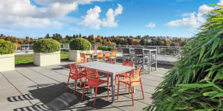 Square One Apartments Gallery 37