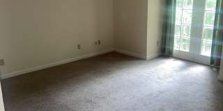 3016 Live Oak Gallery 5