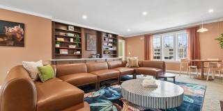 Halpine View Gallery 8