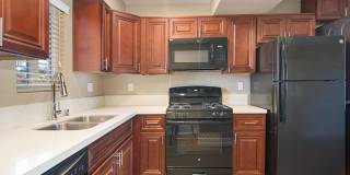 Pacific Cove Gallery 14