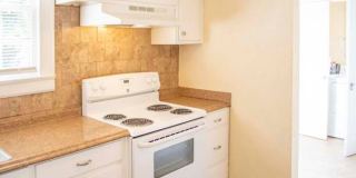 2 BR/2BA | Newly Renovated Single Family Home | Additional Storage| In North Knoxville! Gallery 19