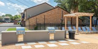 The Iris The Iris Gallery 23