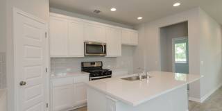 905 Olive Creek Drive Georgetown, TX 78633 Gallery 10