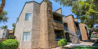 Shadowbrook Gallery 19