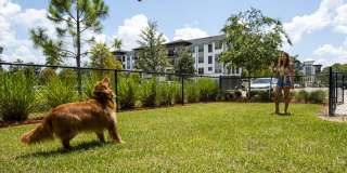 The Julington Gallery 6