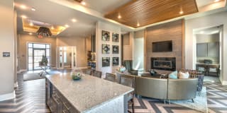 Olympus Waterford Gallery 15