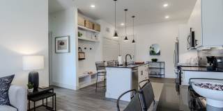 The Josephine The Josephine Gallery 15