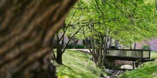 Gazebo Apartments Gallery 70