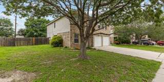8119 Ellerston Gallery 2