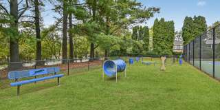 Eagle Rock Apartments at West Springfield Gallery 17