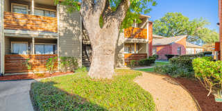 7100 Almeda at the Medical Center Gallery 32