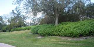 PGA Verano Gallery 44