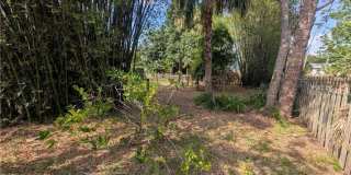 1637 Woodford Avenue Gallery 19