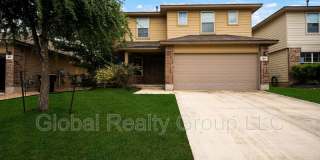 469 Eastern Phoebe Gallery 1