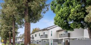 Sofi Berryessa Gallery 24