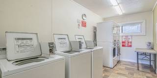 Close to the beach Gallery 84